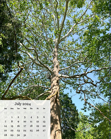 July