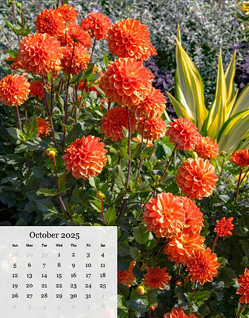 Oct
