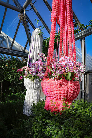 Pink and White Hanging Baskets