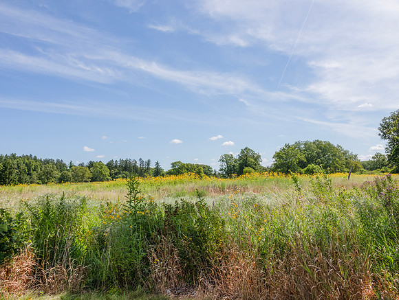 Prarie Landscape
