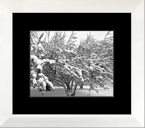 11x14 White wood frame b&w with  black mat