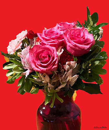 Red Vase Red Background