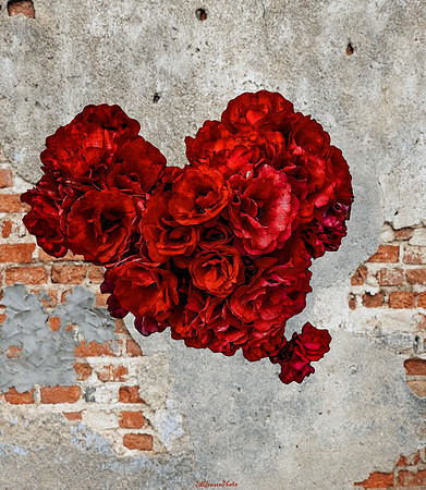 Red Rose Bouquet on Exposed Brick Background