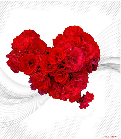 Red Rose Bouquet on White and Gray Swirl Background