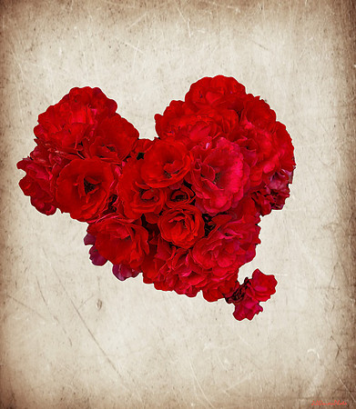 Red Rose Bouquet on Cream Vintage Background