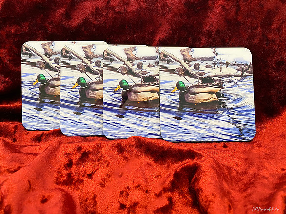 Drake The Duck Coaster Set