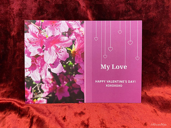 Heart Strings Fuschia Flowers Pearl Stock I