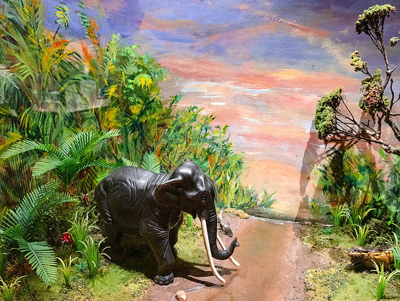Elephant Diarama2