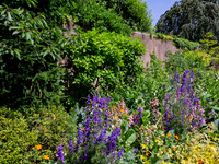 Garden Wall