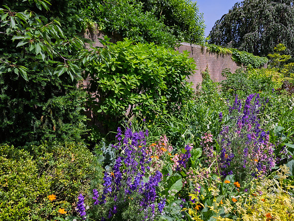 Garden Wall