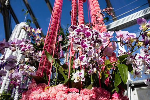 Pink Orchids Spray