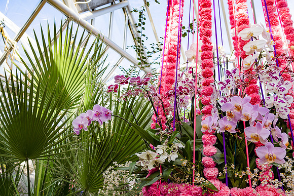 Pink Basket Horizontal