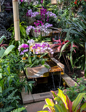 Fountain 8x10
