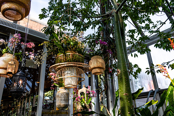 Hanging Lanterns