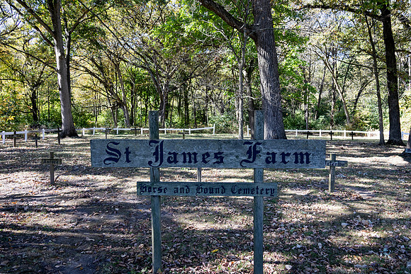 Horse and Hound Cemetary