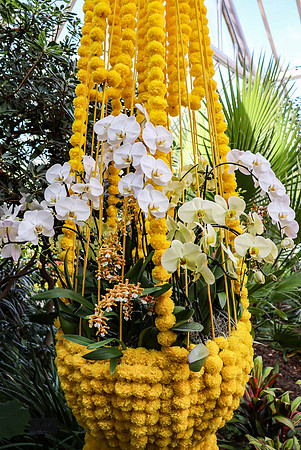 Yellow Hanging Basket
