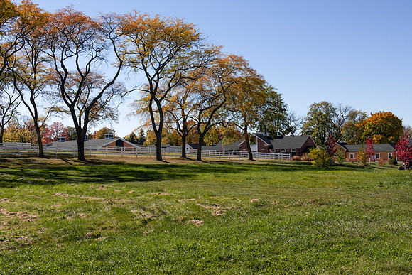 Lane With Buildings