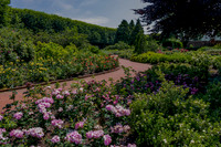 Rose Garden Path