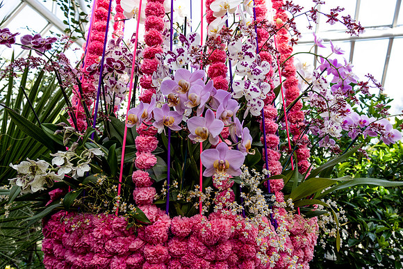 Pink Basket Horizontal 2