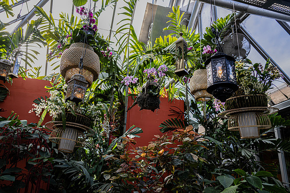 More Lanterns